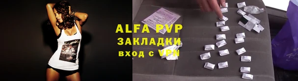 шишки Белокуриха
