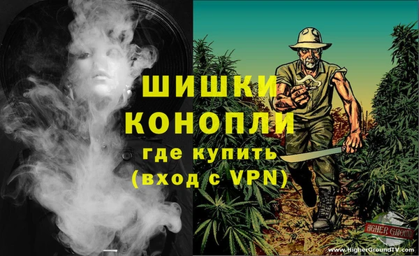 шишки Белокуриха