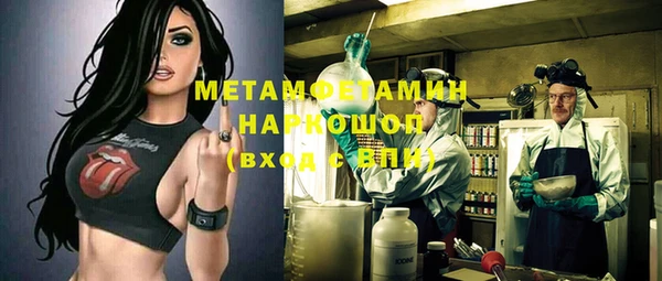 шишки Белокуриха