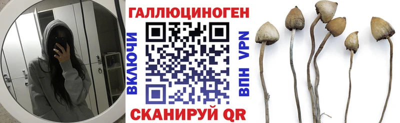 Галлюциногенные грибы мицелий  Ефремов 