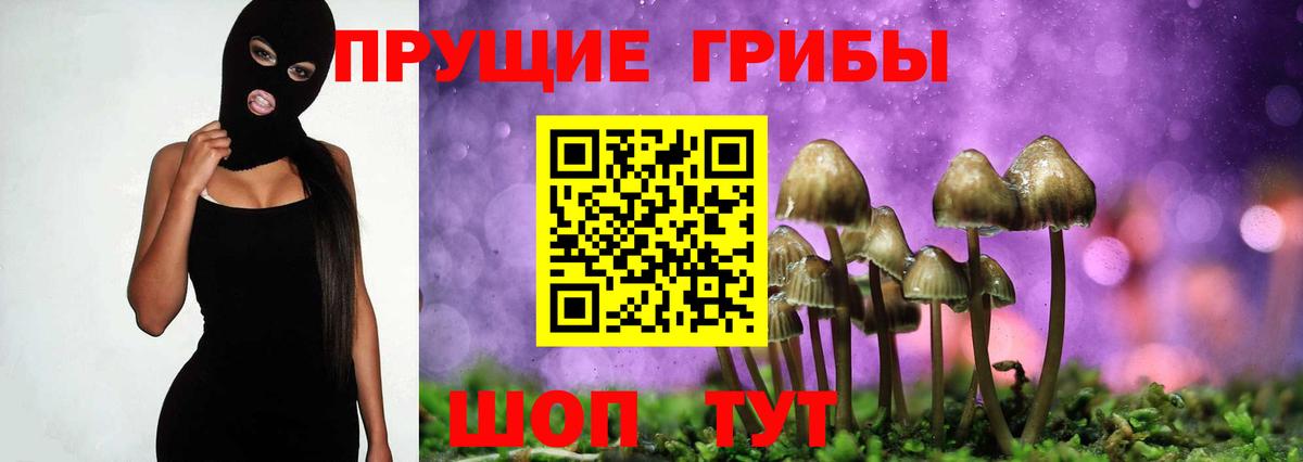 Ефремов  купить закладку  Псилоцибиновые грибы GOLDEN TEACHER  Вход с VPN  Галлюциногенные грибы прущие грибы 