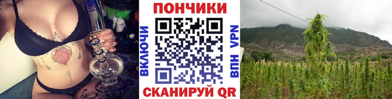 Марихуана тримм  Ефремов 